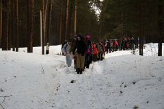 Изображение галереи 